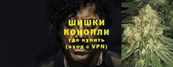 спайс Баксан