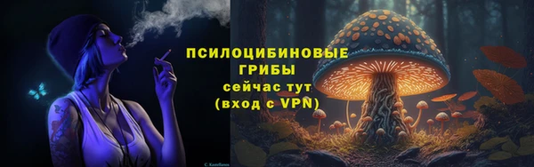 спайс Баксан