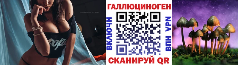МЕГА ссылка  как найти наркотики  Нюрба  Псилоцибиновые грибы мицелий 